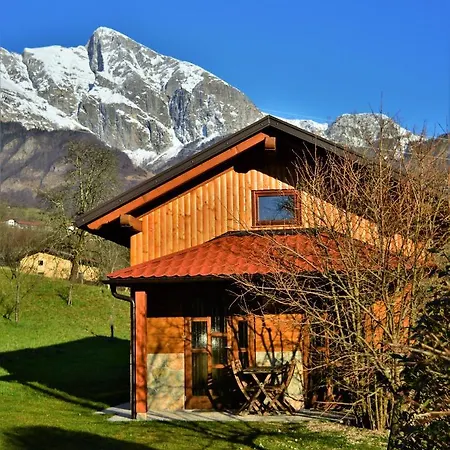 Sleeping With The Bees Kozjak