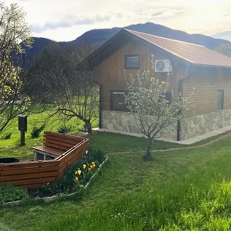 Sleeping With The Bees Kozjak