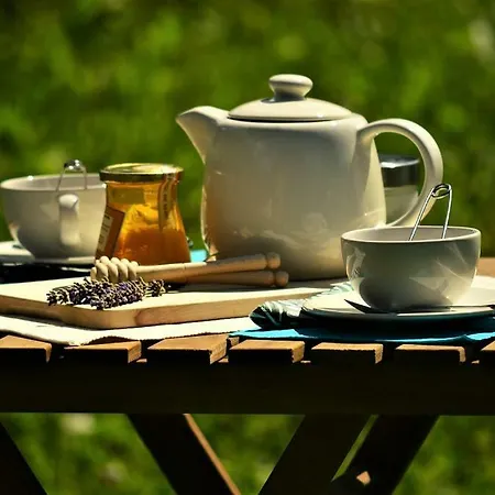 Sleeping With The Bees Kozjak Kobarid