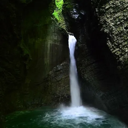 Sleeping With The Bees Kozjak