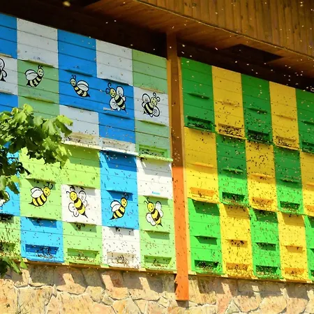 Vakantiehuis Sleeping With The Bees Kozjak *