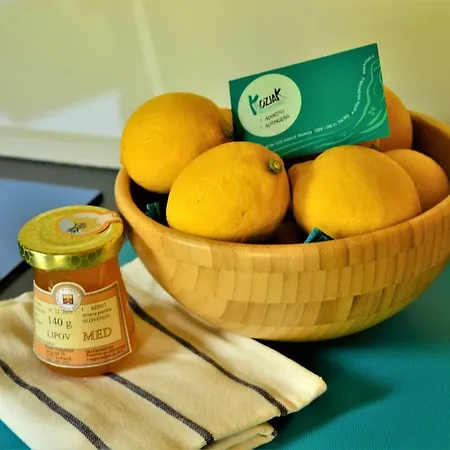 Vakantiehuis Sleeping With The Bees Kozjak *