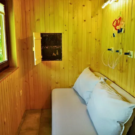 Sleeping With The Bees Kozjak