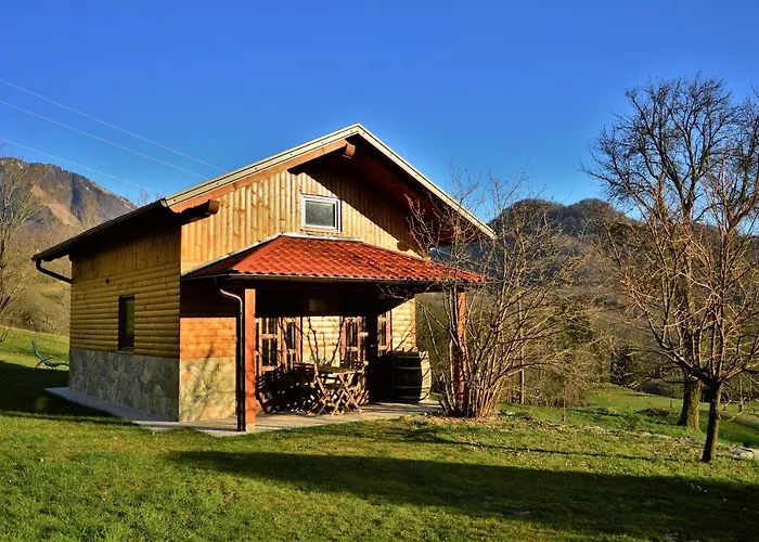 Sleeping With The Bees Kozjak