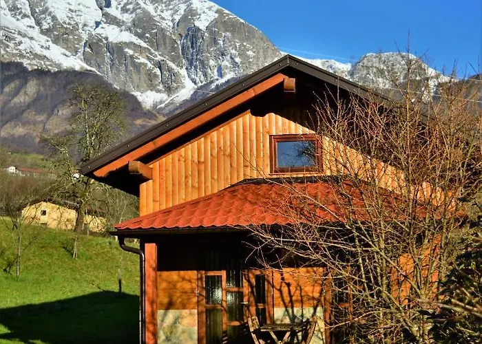 Sleeping With The Bees Kozjak