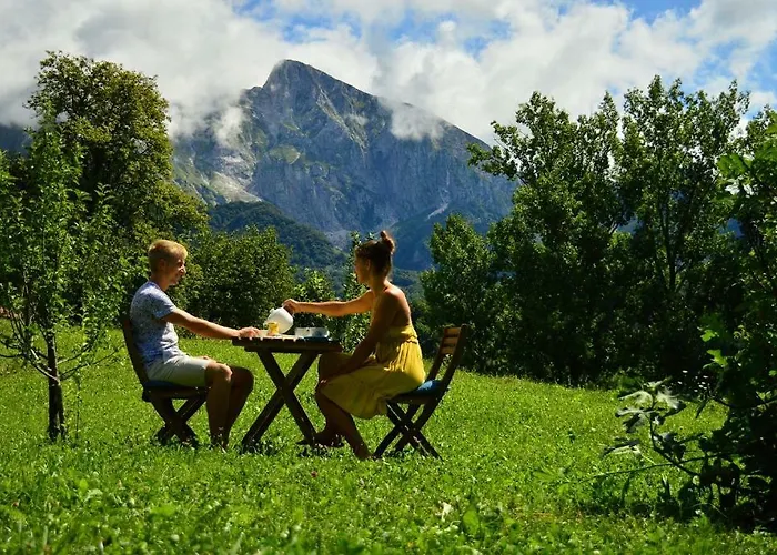 Sleeping With The Bees Kozjak * 코바리드