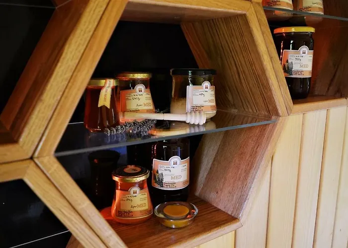 Sleeping With The Bees Kozjak *