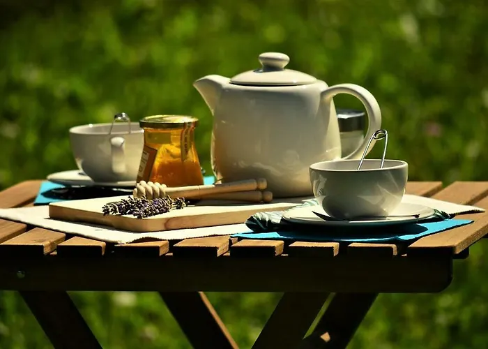 Sleeping With The Bees Kozjak 코바리드