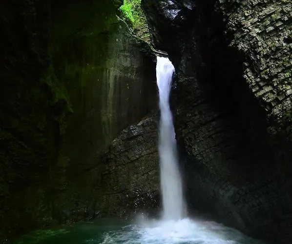 Sleeping With The Bees Kozjak